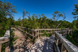 45-Nature Preserve Boardwark