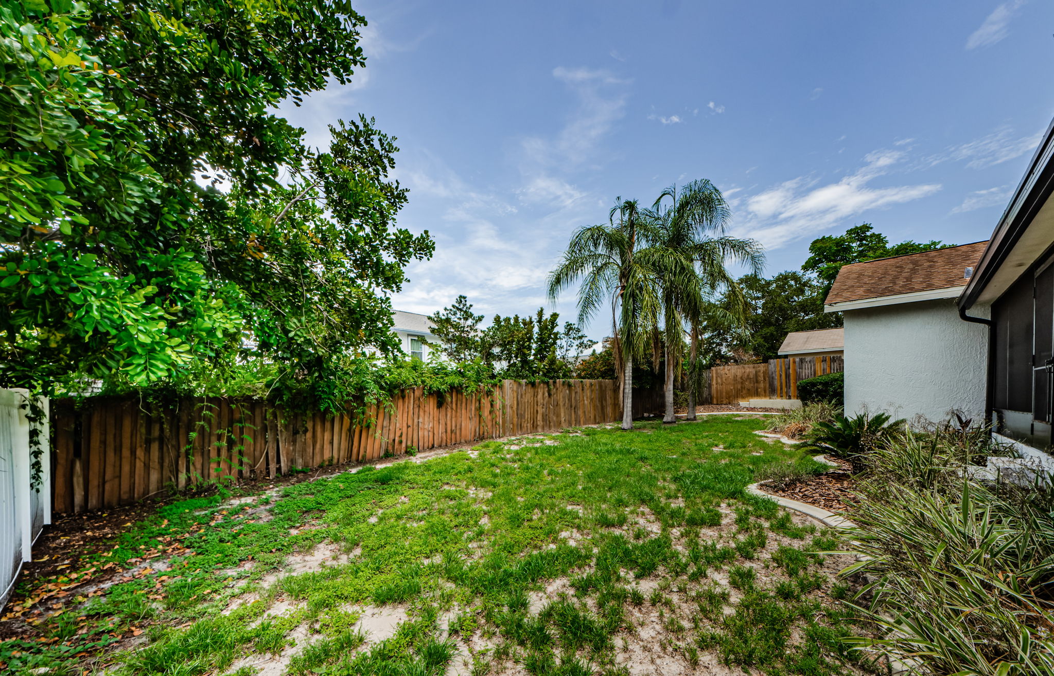 Backyard 2-2