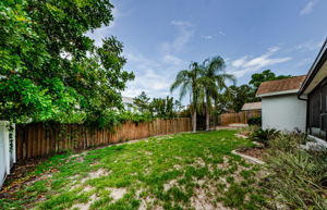Backyard 2-2