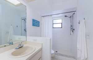 Master Bathroom 1b-2