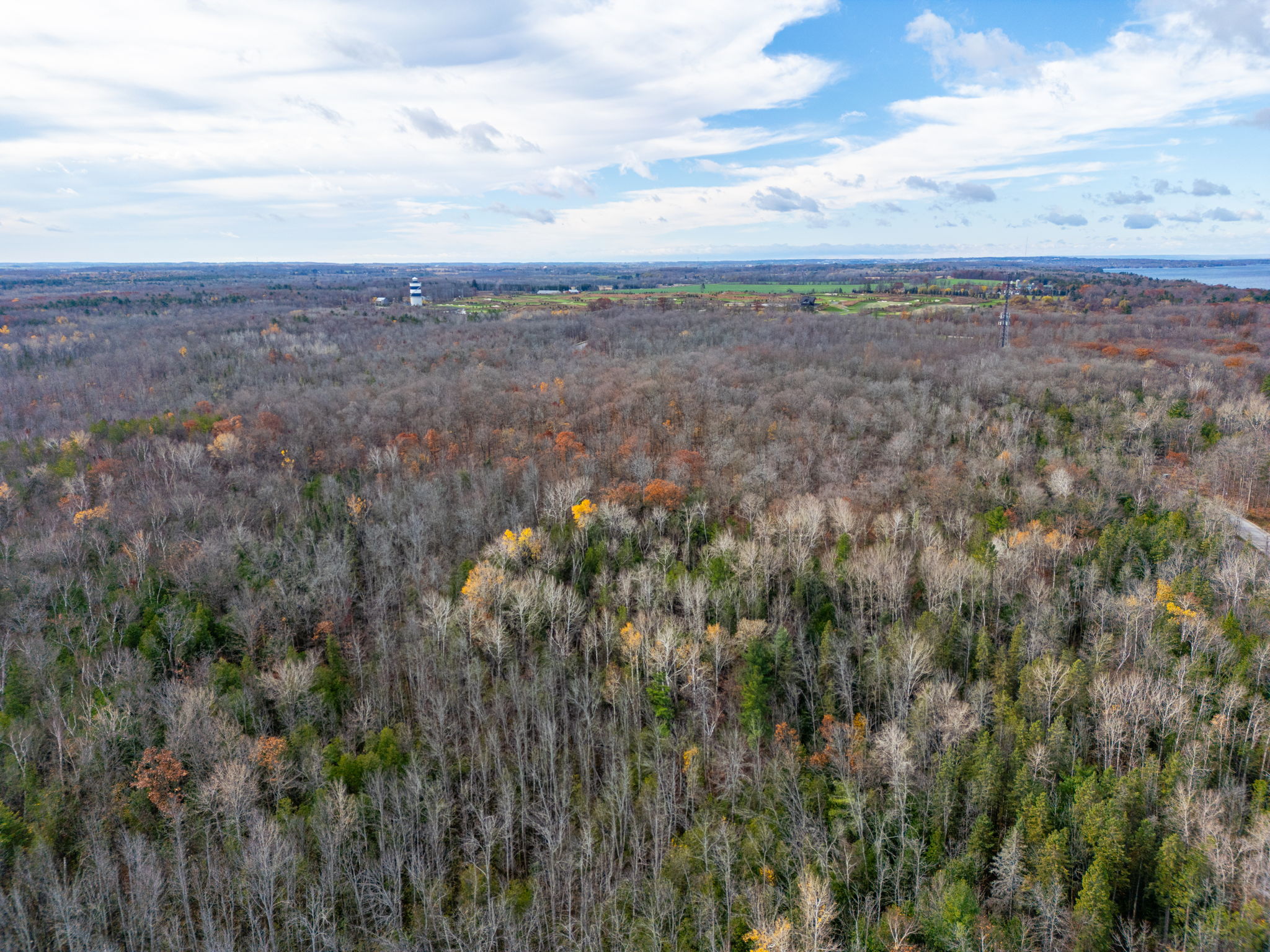 Innisfil property showcase — delivered property photograph 36