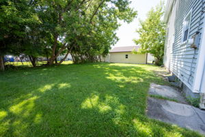  Photo 41