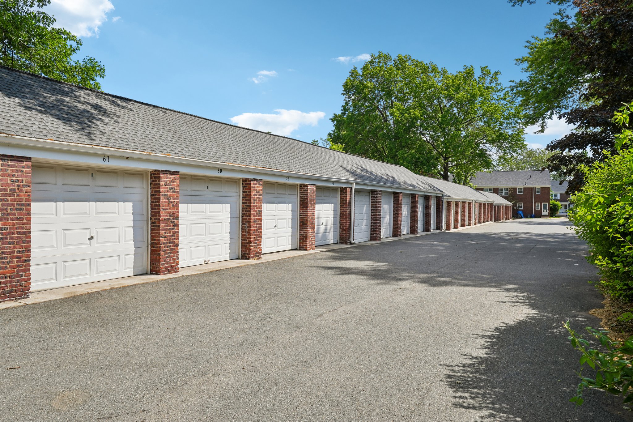 Elmwood Ave-S2105-027.jpg