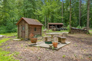 Photo 47
