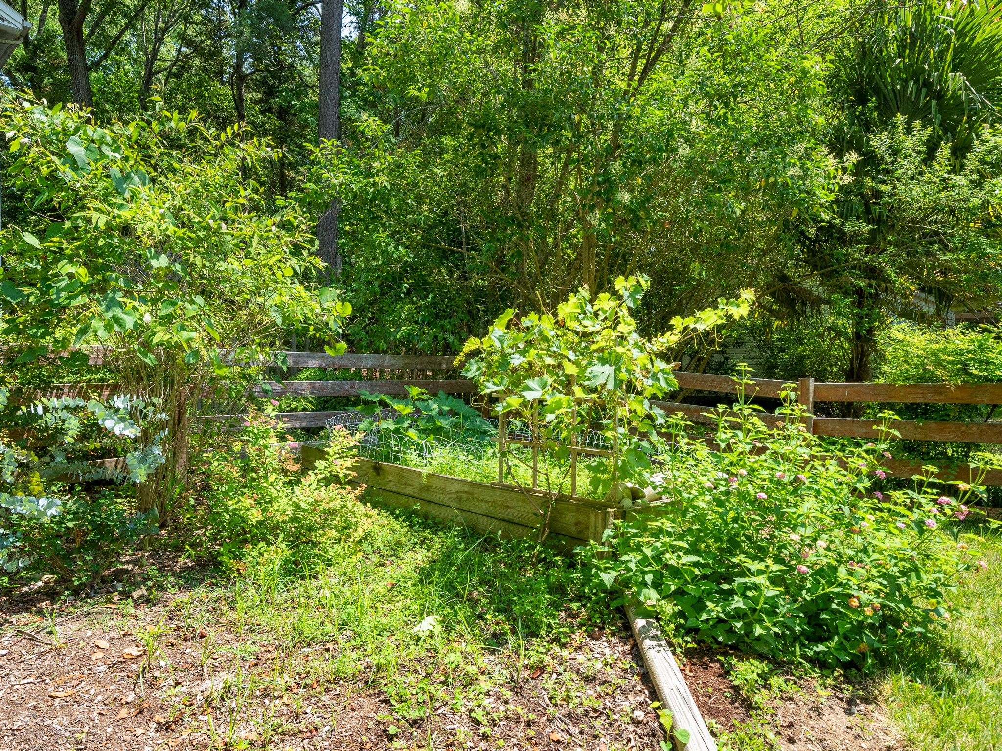  Photo 47