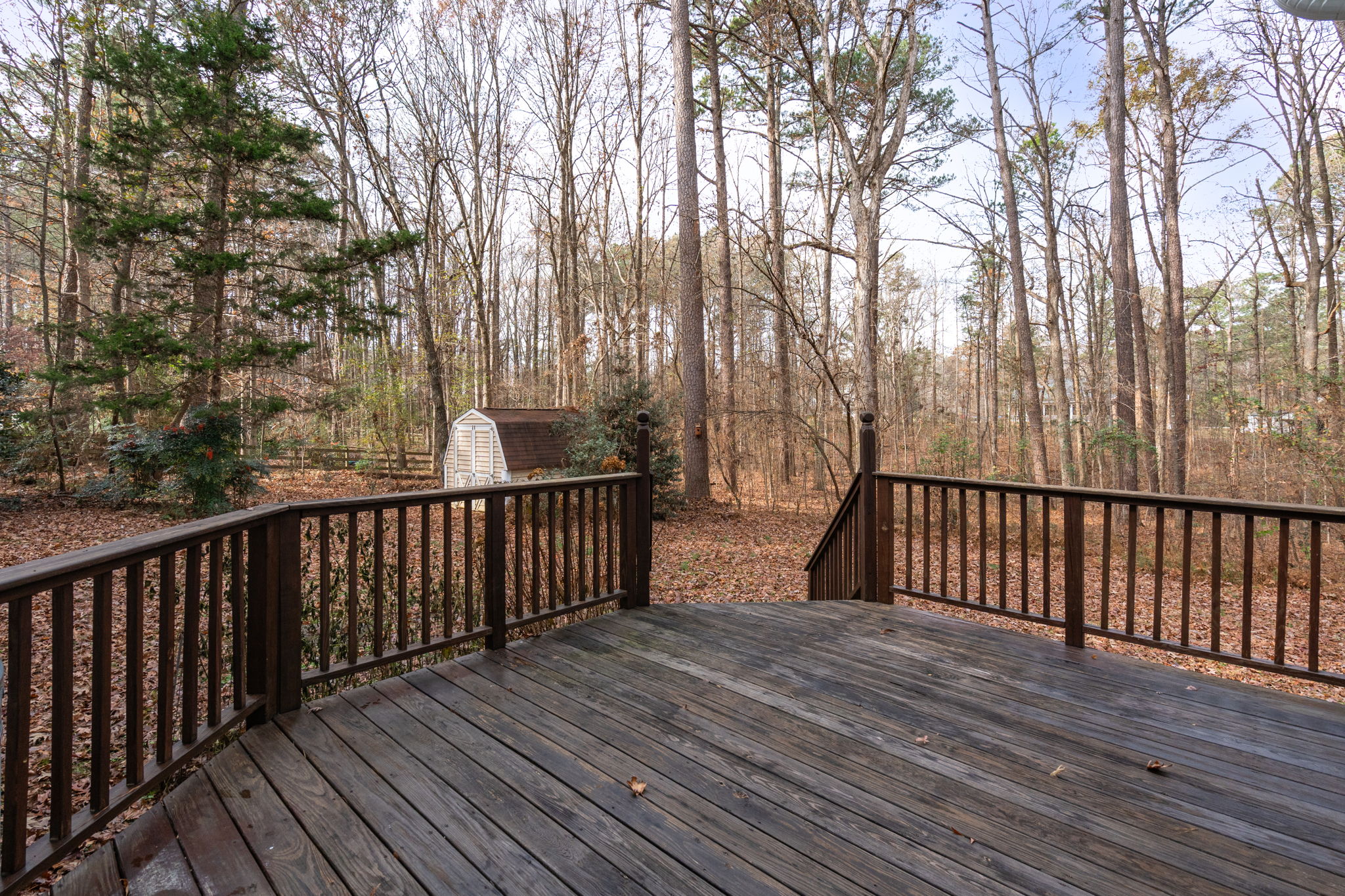 2616 Mary Marvin trail-38