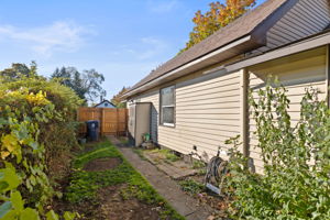 Side Yard