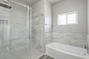 Primary Bathroom 2