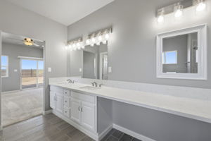 Primary Bathroom 3