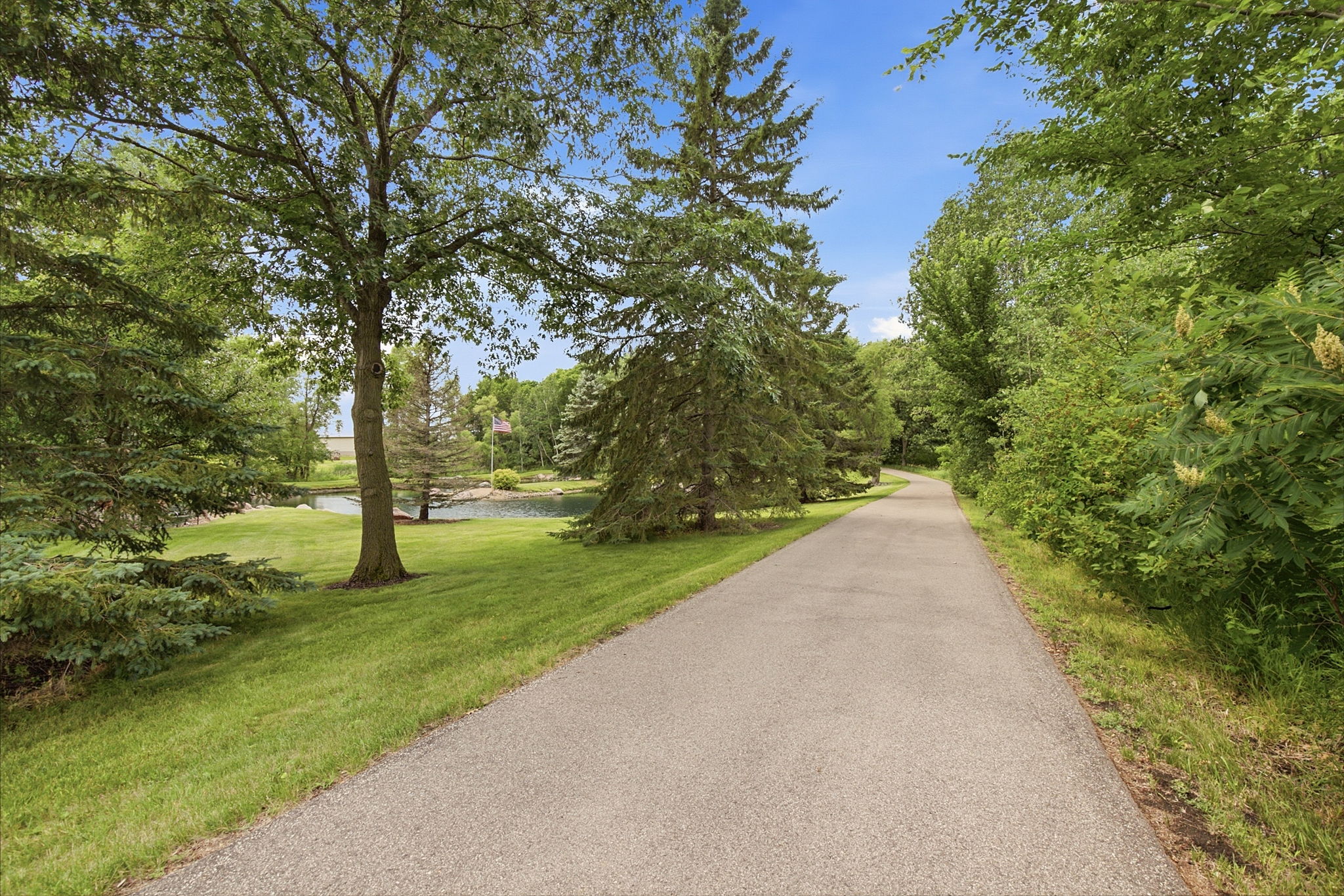Asphalt driveway.