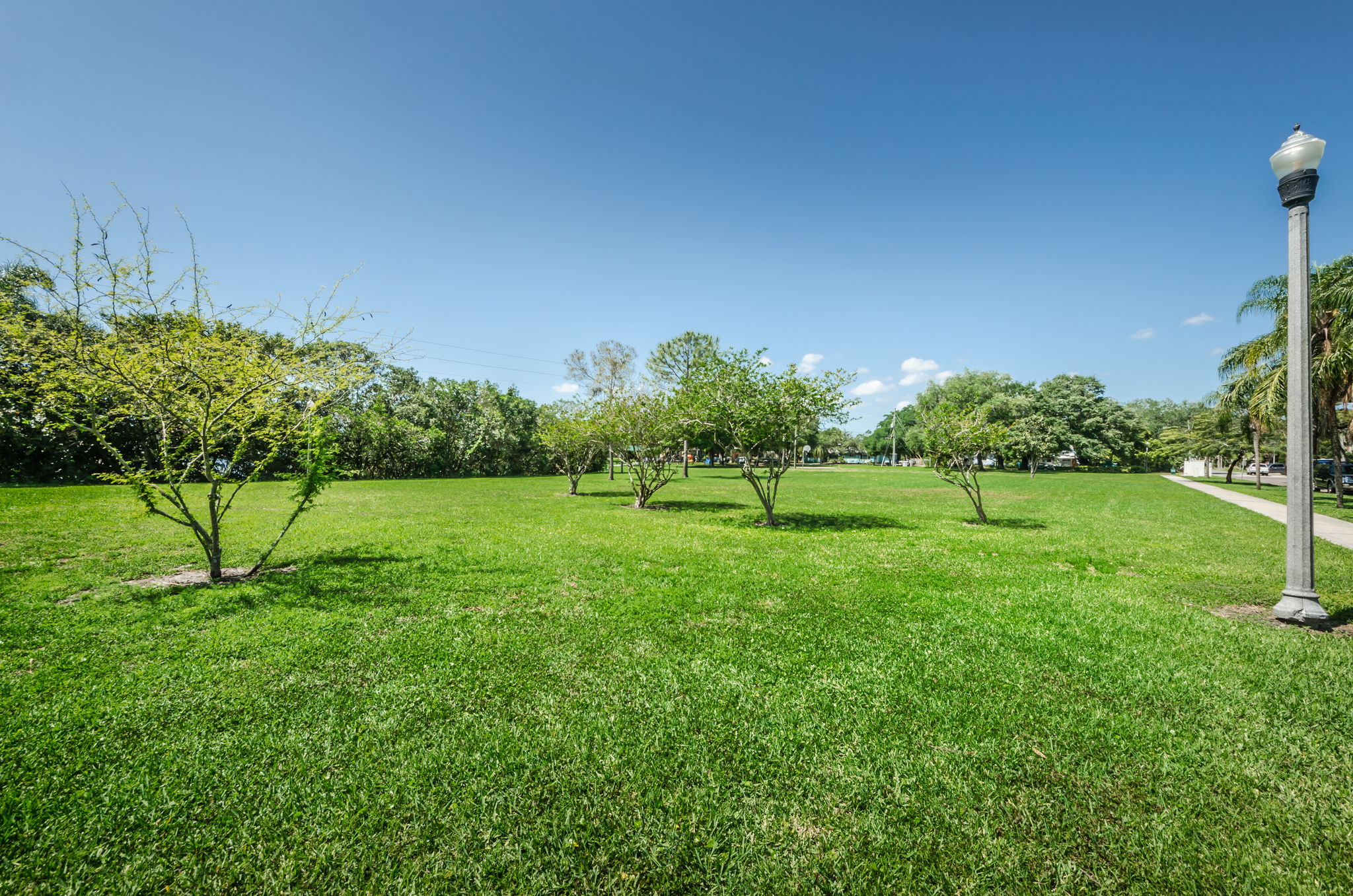Crisp Park3