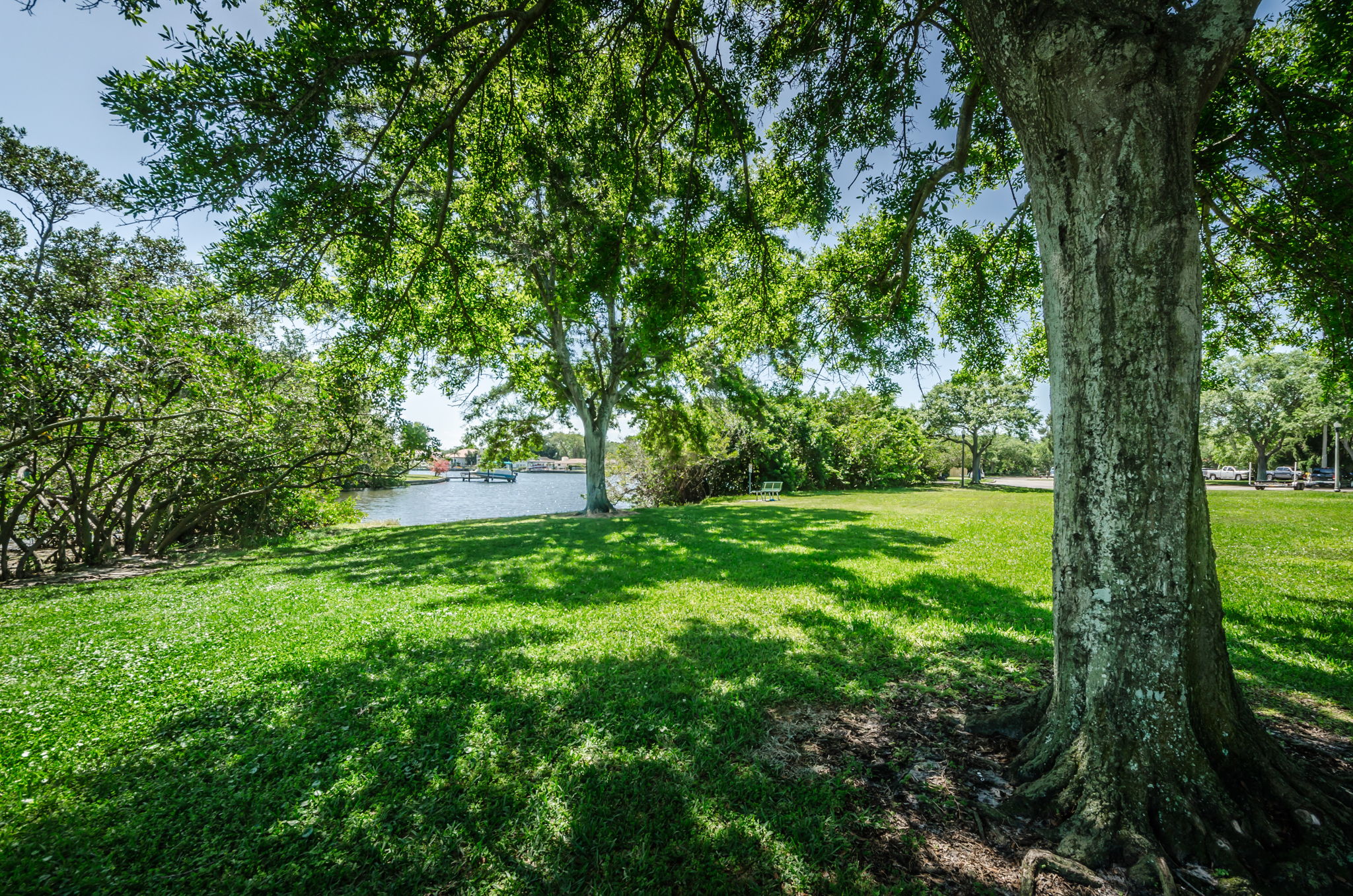 Crisp Park9