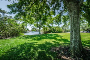 Crisp Park9