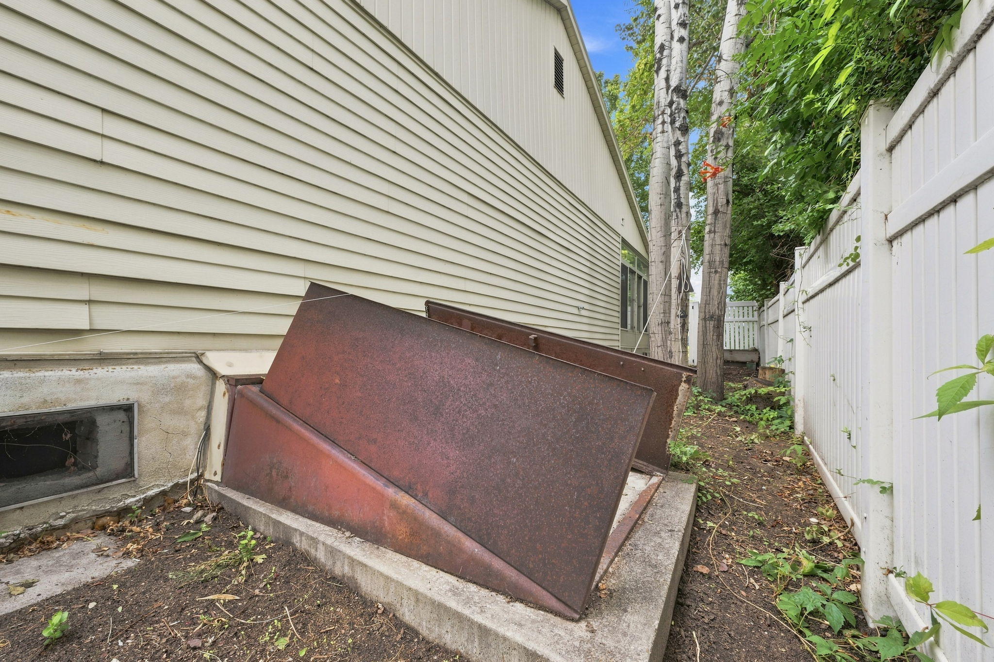 Basement Cellar Door