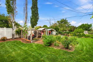 Chicken Coop