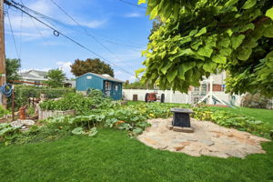 Fire Pit and Garden Area
