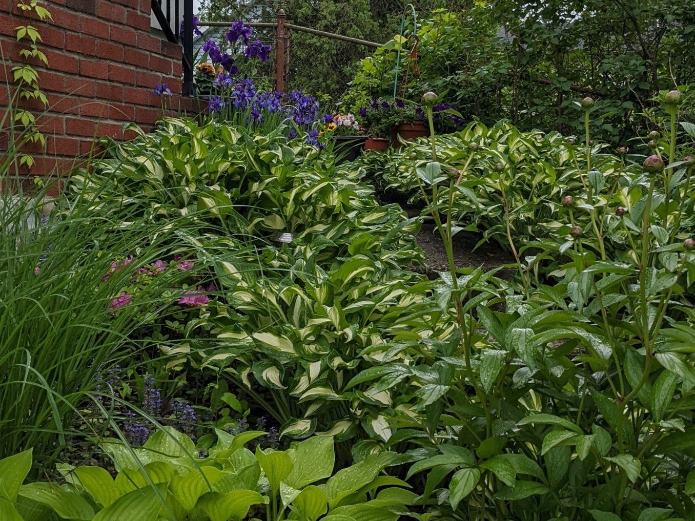  Photo 26