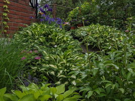  Photo 25