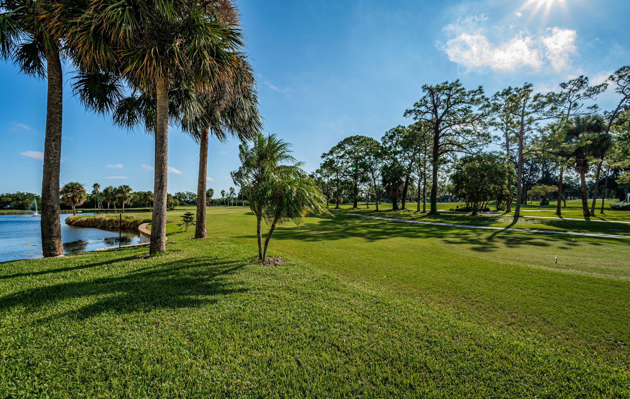 Golf Course1