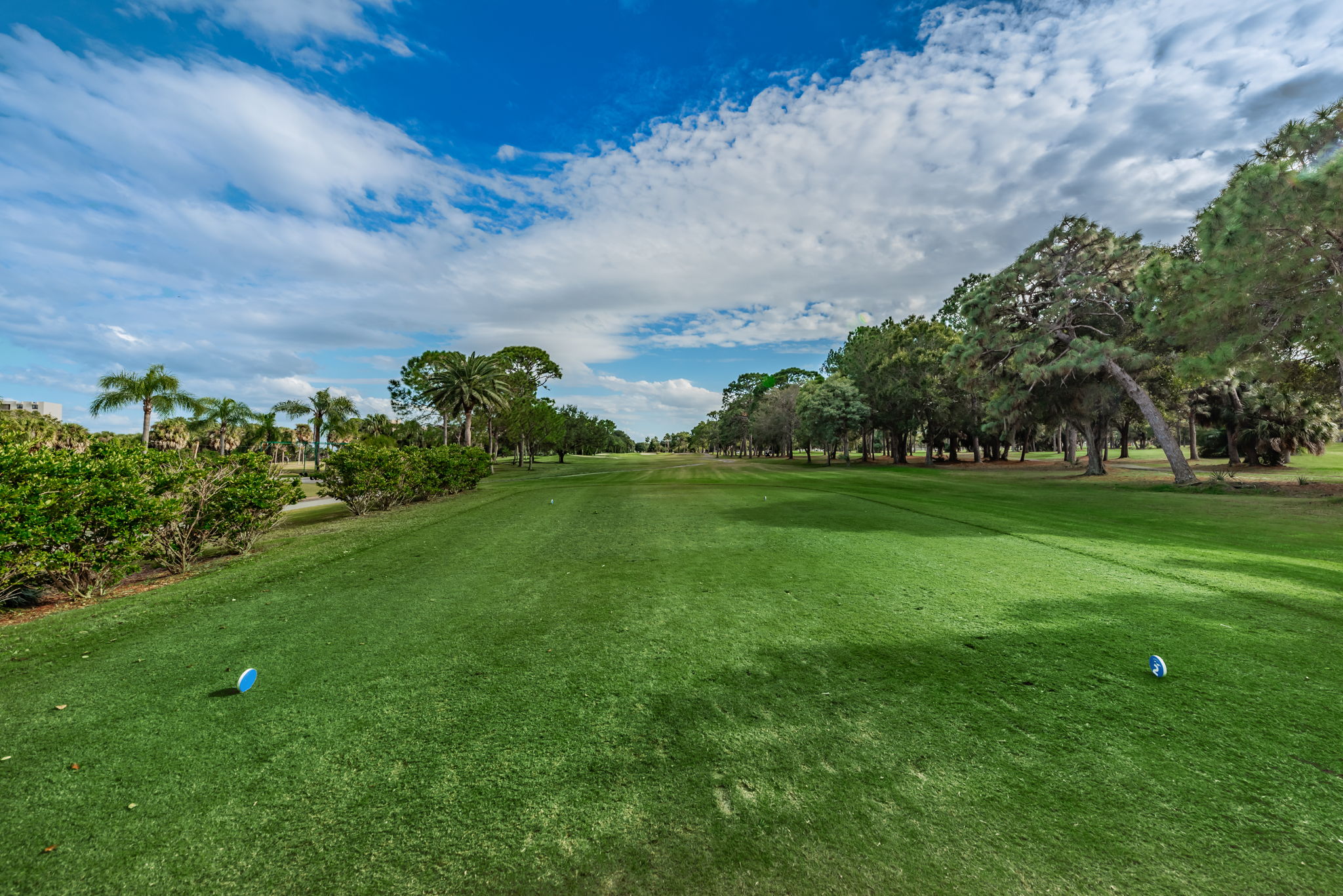 5-Cove Cay Golf Club