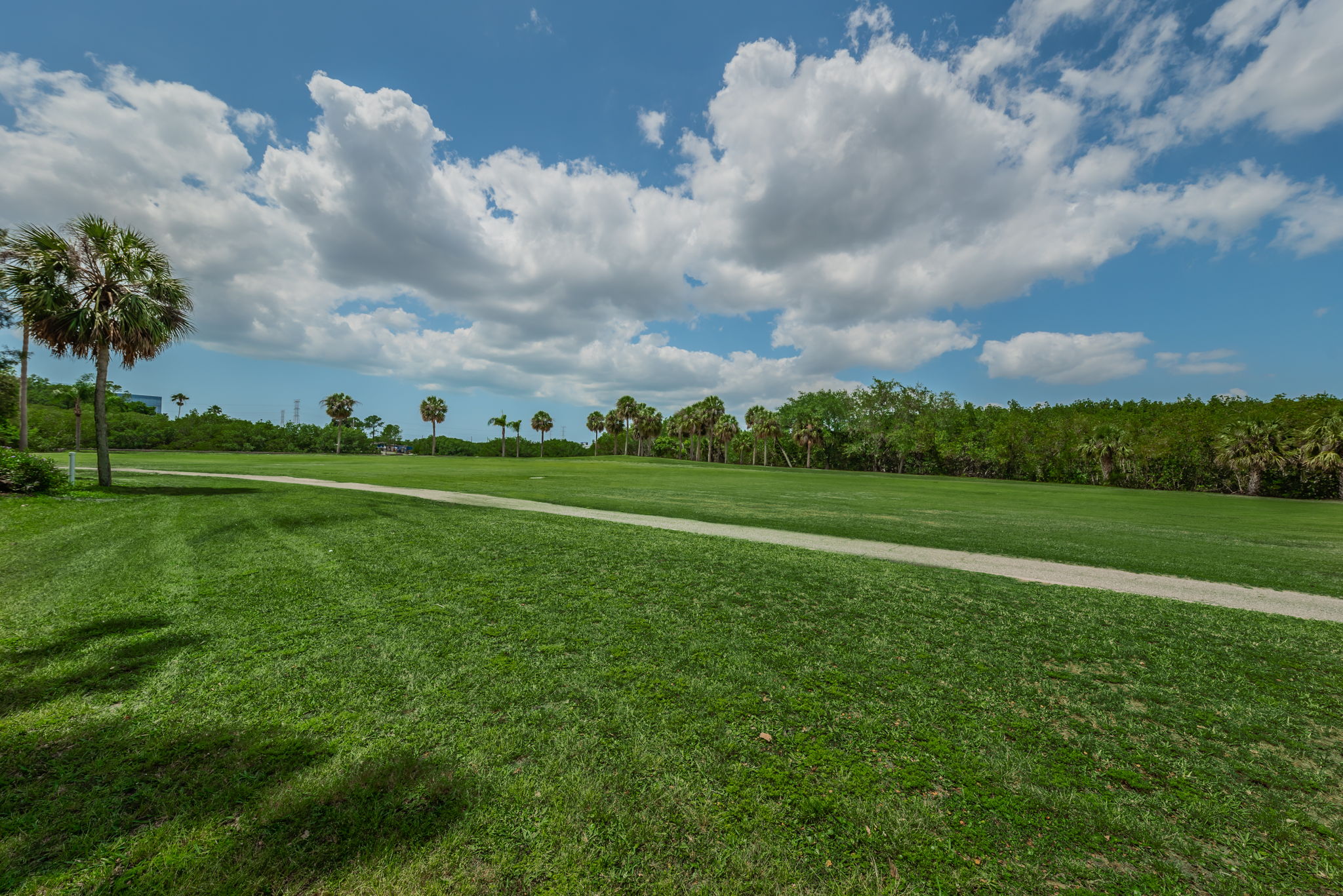 Golf Course1