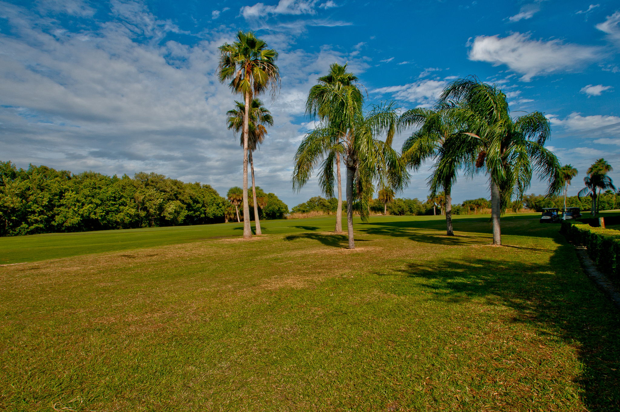 Golf Course5