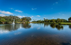 Backyard Water View3