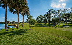 Golf Course1