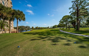 Golf Course2