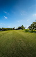 Golf Course4