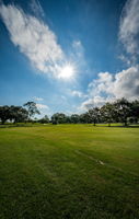 Golf Course6