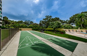 Shuffleboard 1