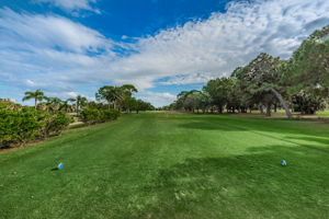 5-Cove Cay Golf Club