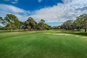 6-Cove Cay Golf Club