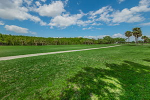 Golf Course2