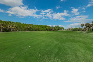 Golf Course4