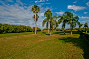 Golf Course5