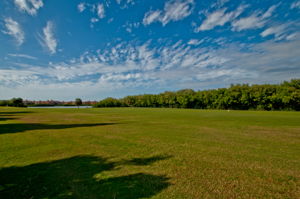 Golf Course6