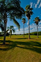 Golf Course7