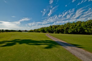 Golf Course8