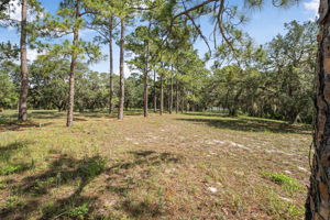  Photo 49