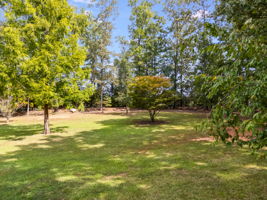 mppmedia2620epineypoint23