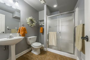  Photo 47