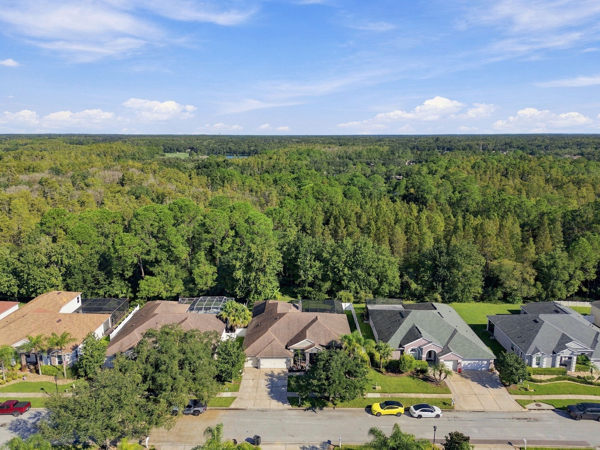 DJI_0065