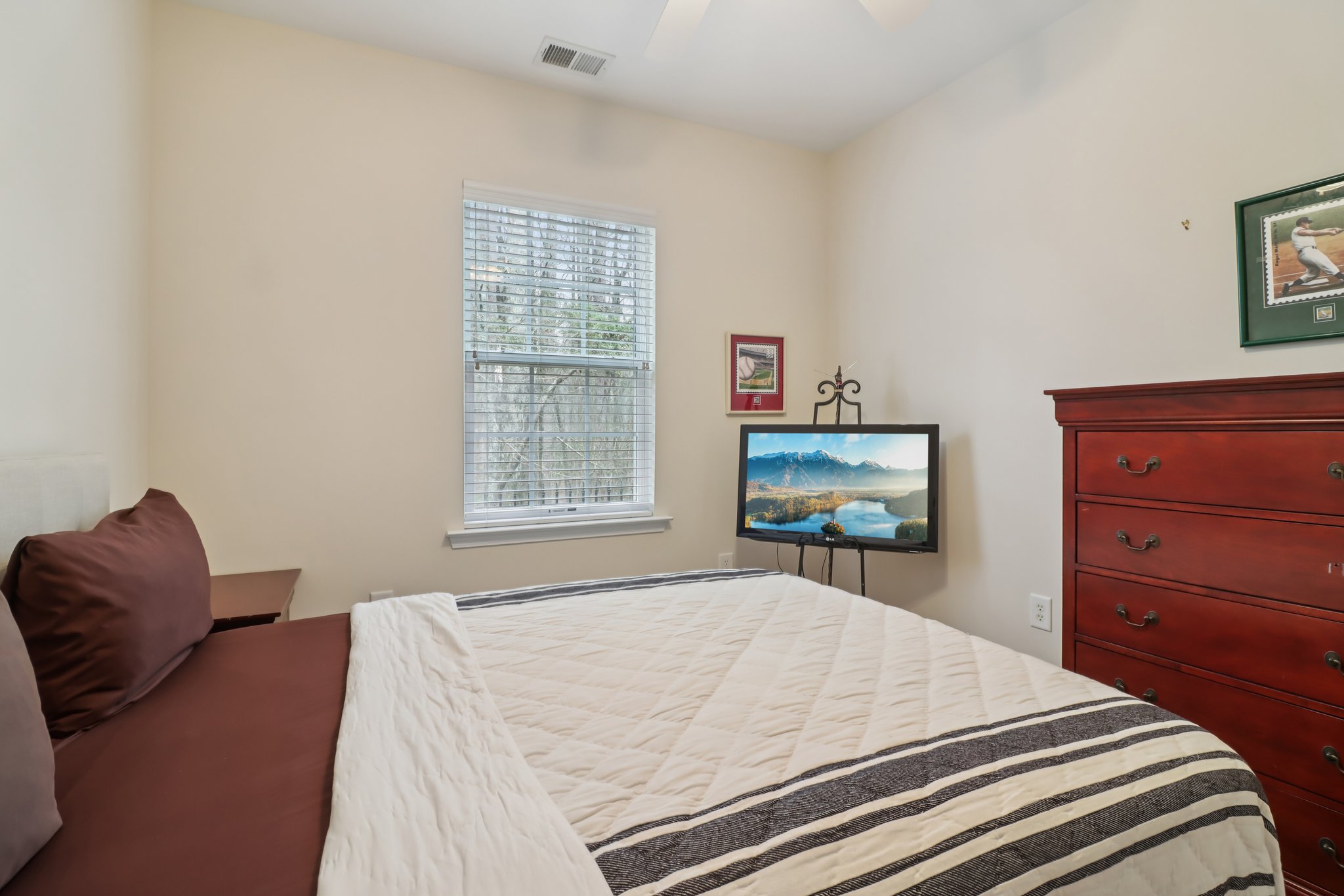 Grapevine Cir-S0303-034.jpg