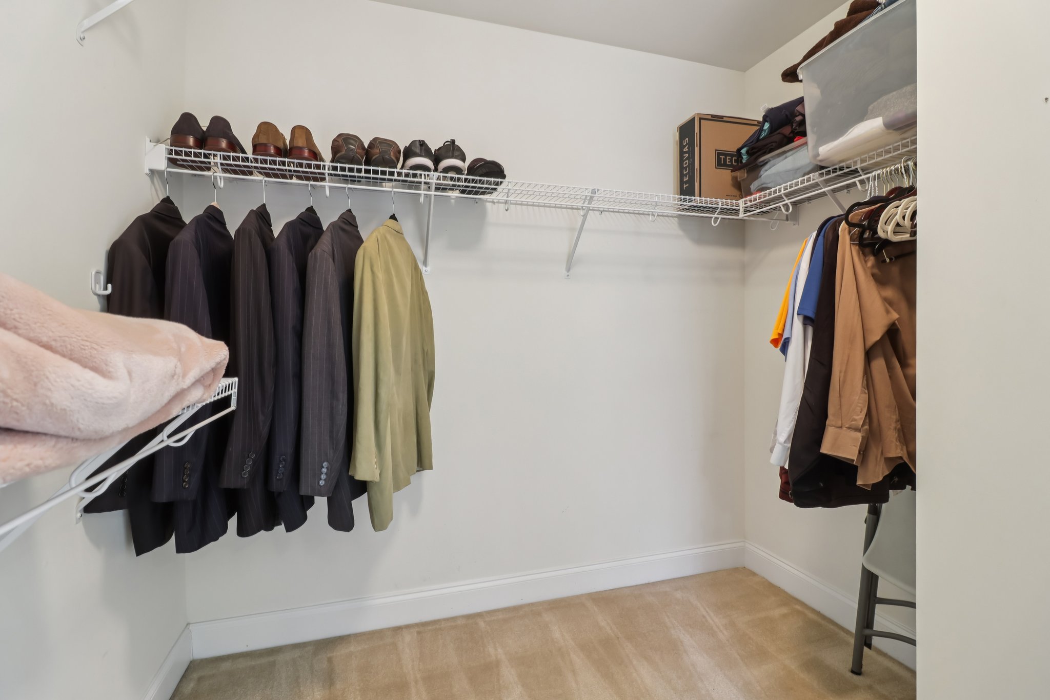 Grapevine Cir-S0303-044.jpg