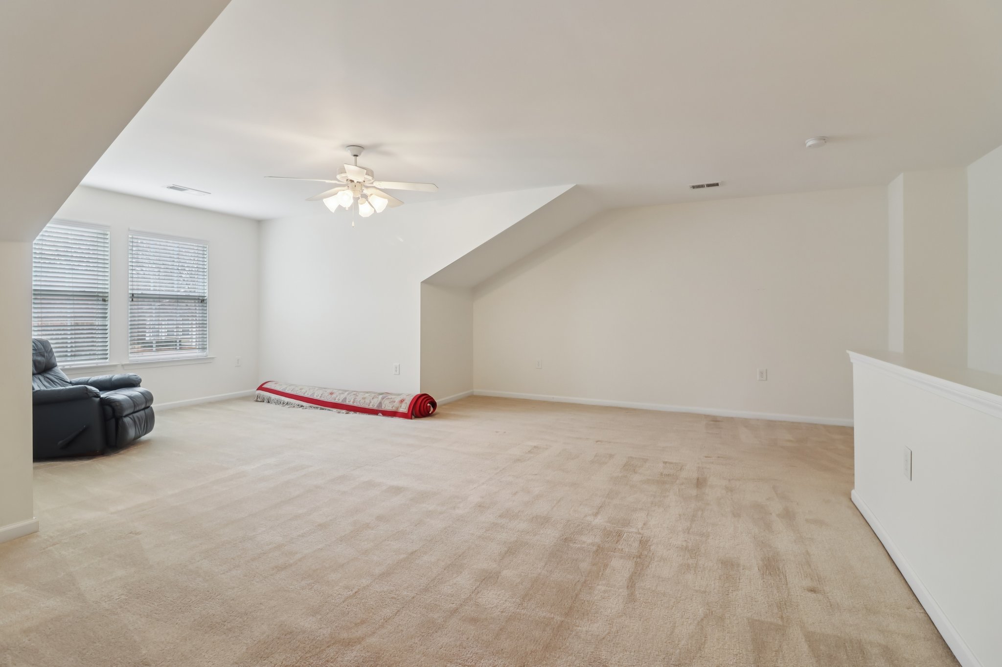 Grapevine Cir-S0303-048.jpg