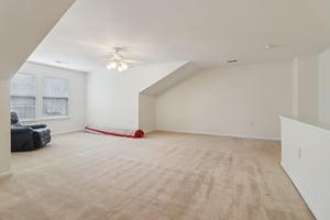 Grapevine Cir-S0303-048.jpg