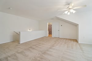 Grapevine Cir-S0303-050.jpg