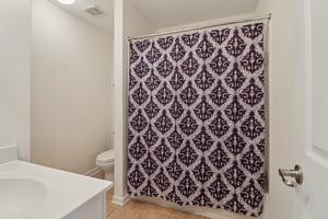 Grapevine Cir-S0303-053.jpg